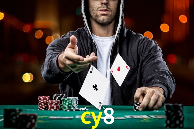 cy8.com